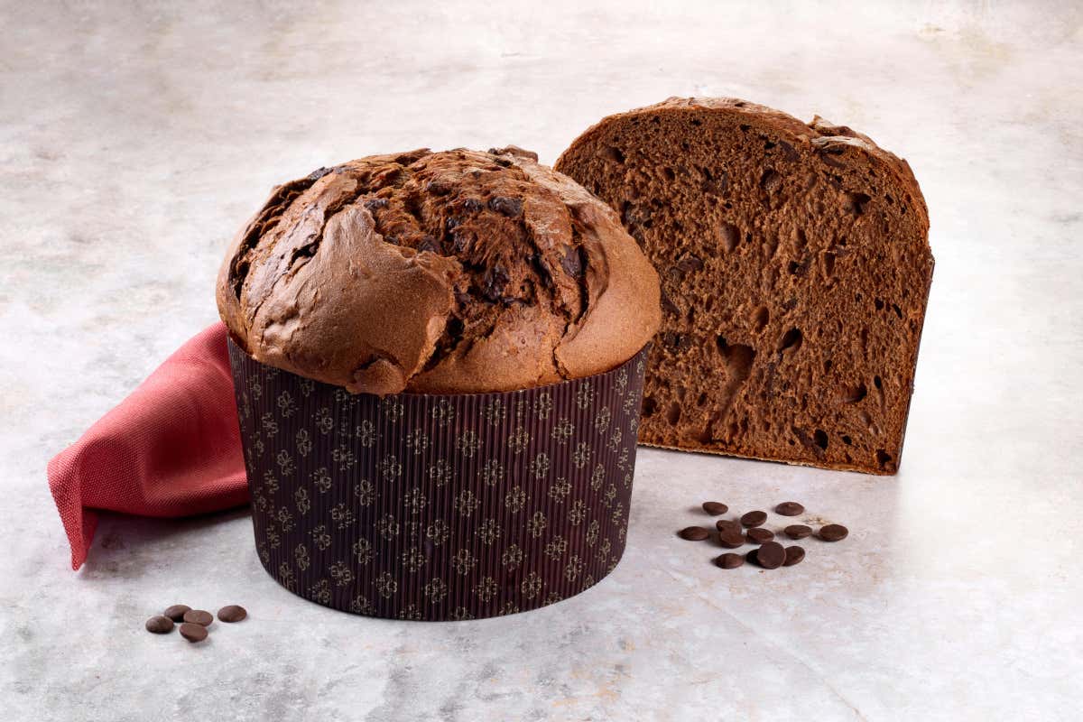 Con Gran Lieviti Pro della linea Dolce Mix di Faridea i grandi lievitati presentano resa in volume e costanza qualitativa, come in questo panettone al cioccolato